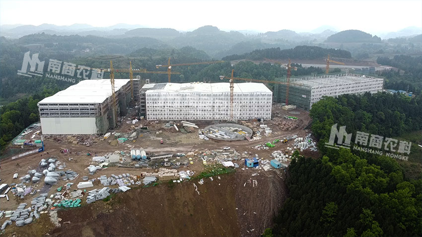 正邦射洪年出欄40萬頭高樓項目