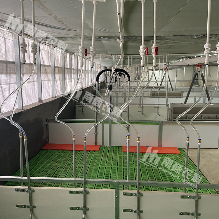 養豬場水線照明