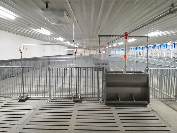 養豬廠用喂料槽有哪些種類？價格如何？