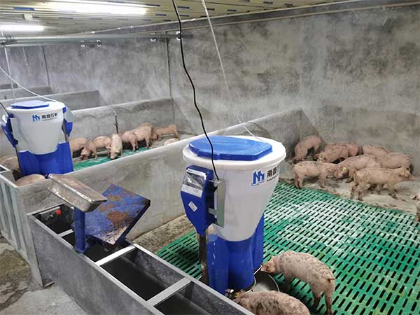 自動化養豬場設備都有哪些呢？