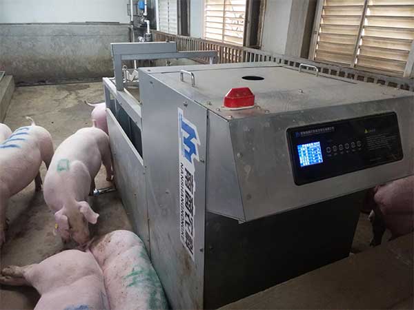 豬用液態飼喂系統多少錢一套