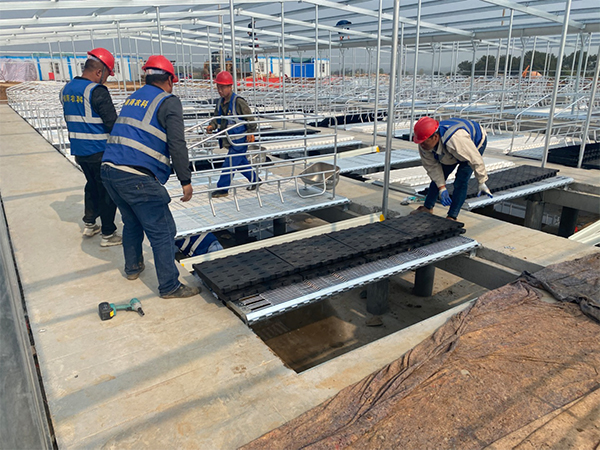 建一個(gè)養(yǎng)豬場(chǎng)大概需要多少錢(qián)