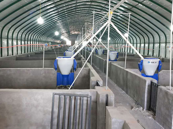 養(yǎng)豬催肥過程中，最基礎(chǔ)也最容易損失的五點(diǎn)