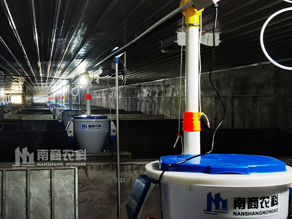 大型養(yǎng)豬場有哪些自動飼喂系統(tǒng)？