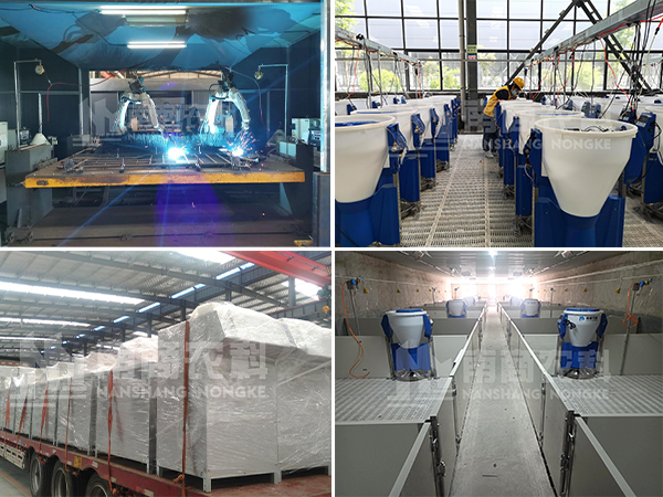 南商農(nóng)科攜手豐裕牧業(yè)——國內(nèi)母豬小群養(yǎng)再添示范！