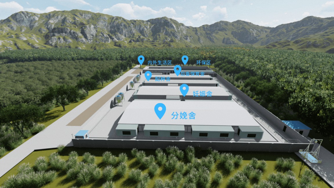 智能化母豬飼養