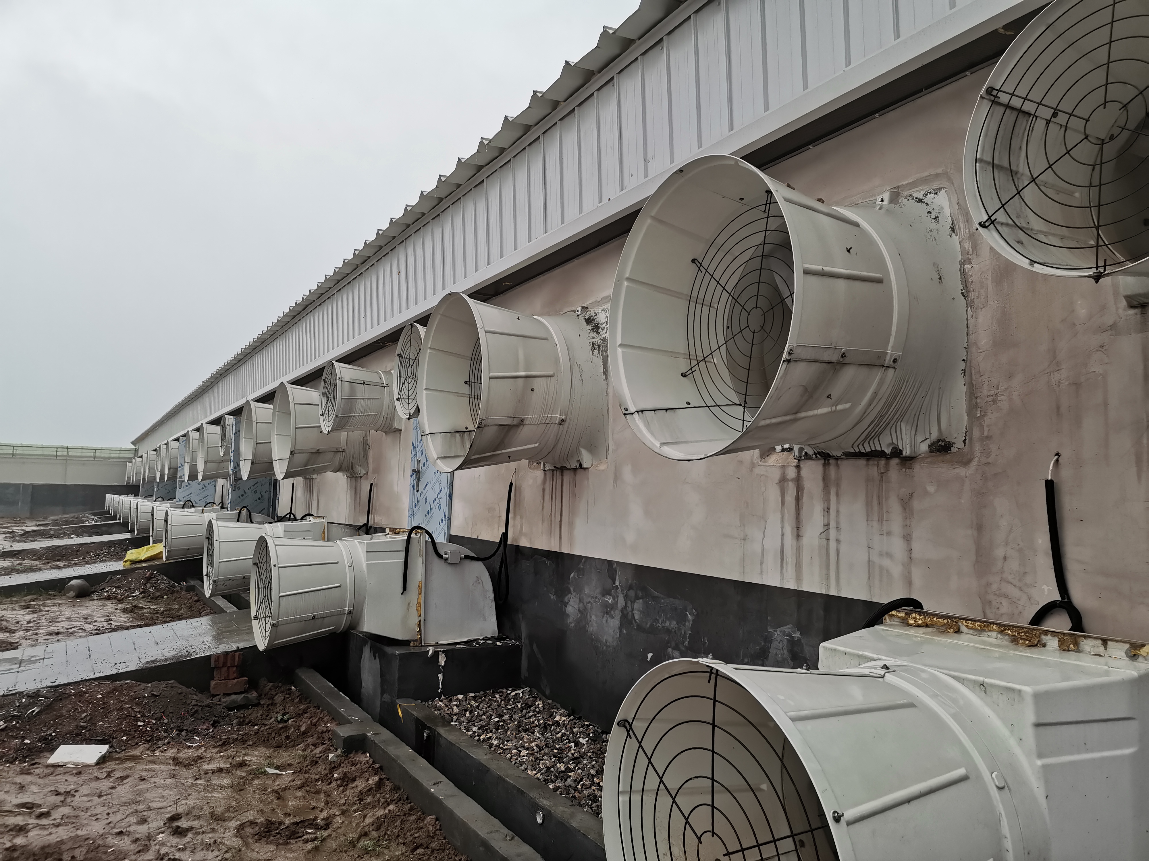 智能環(huán)控系統(tǒng)：遠程監(jiān)測，隨時掌握豬場動態(tài)