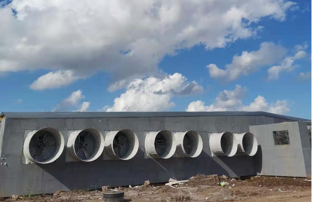 打造智能化養(yǎng)豬場，精準通風，豬舍智能環(huán)控系統(tǒng)助您實現(xiàn)養(yǎng)豬新突破！